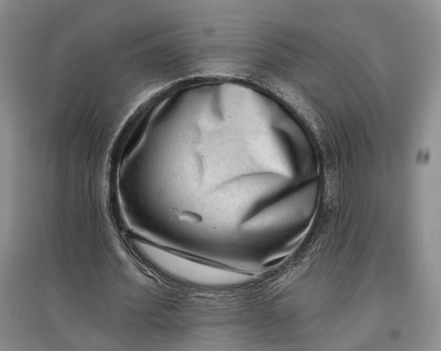 X0000097590580200803141856