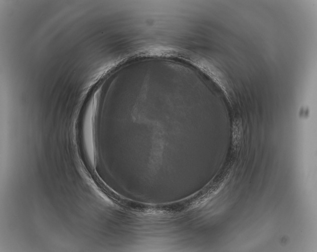 X0000097590581200803141856