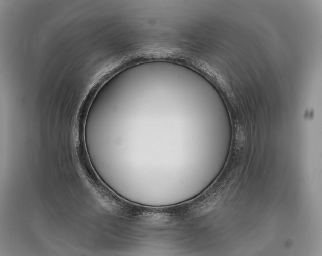 X0000097590582200803141856