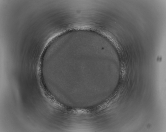 X0000097590583200803141856