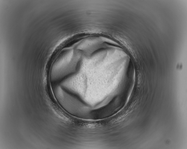 X0000097590584200803141856