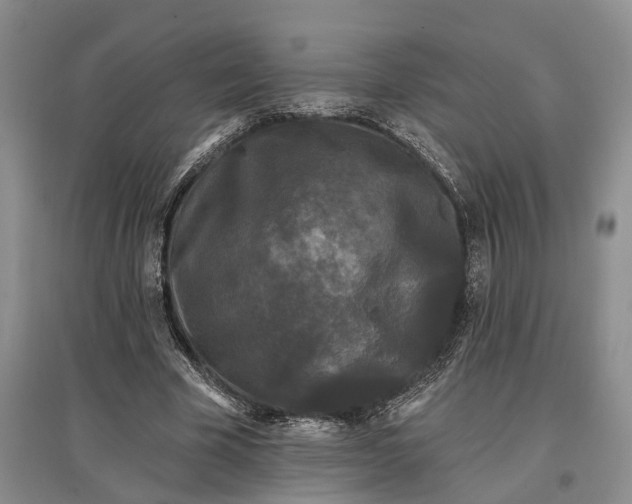 X0000097590585200803141856