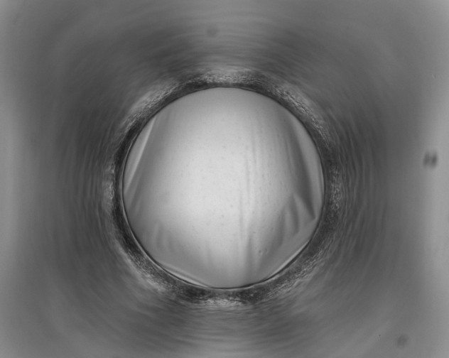 X0000097590586200803141856