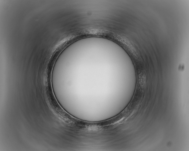 X0000097590587200803141856