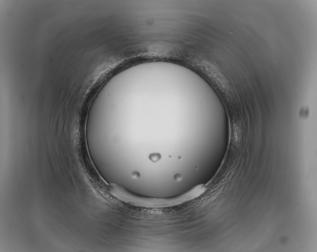 X0000097590588200803141856