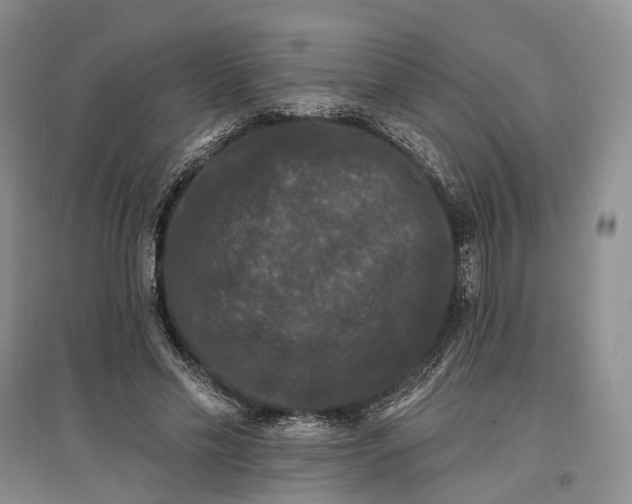 X0000097590589200803141856