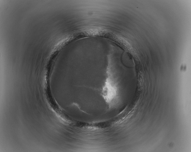 X0000097590590200803141856