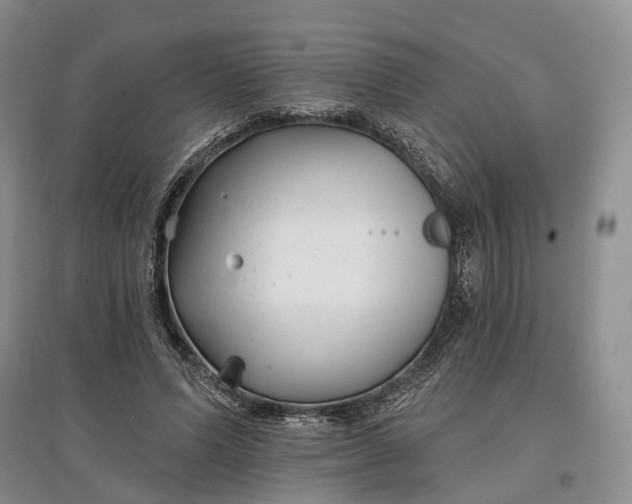 X0000097590591200803141856