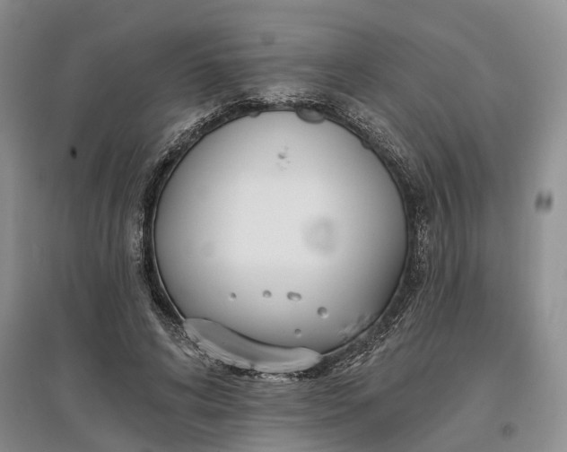 X0000097590592200803141856