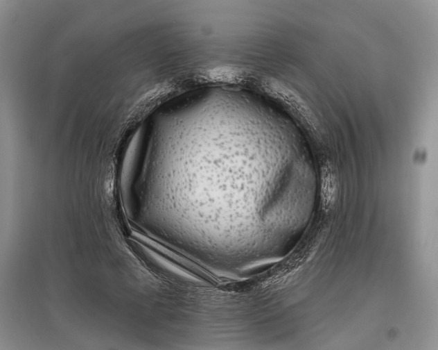 X0000097590593200803141856