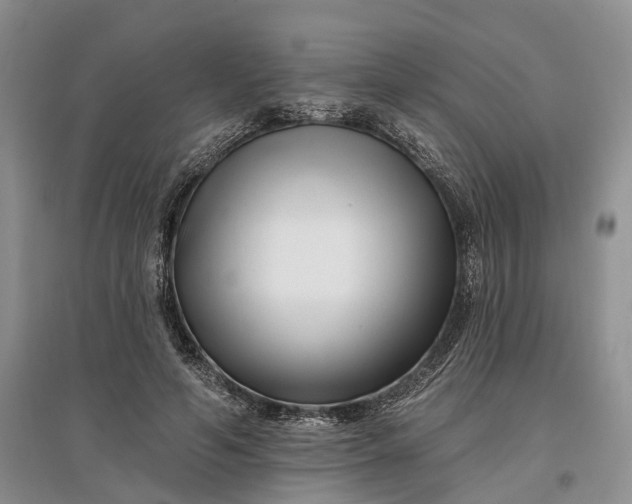 X0000097590594200803141856