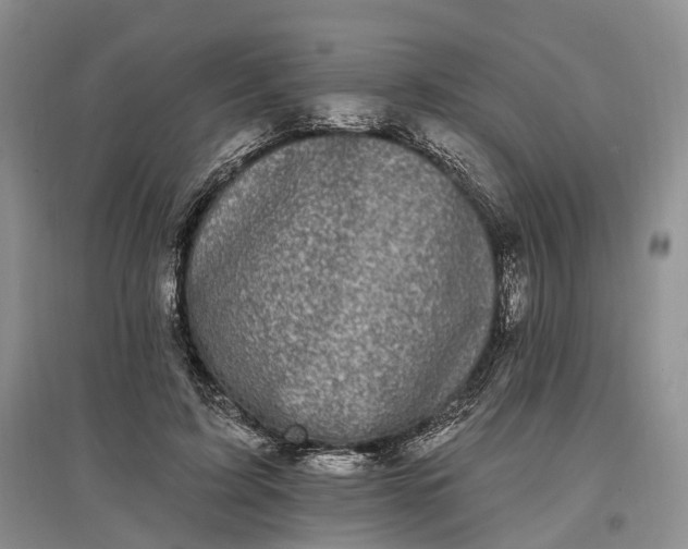 X0000097590595200803141856