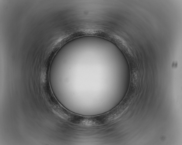 X0000097590596200803141856