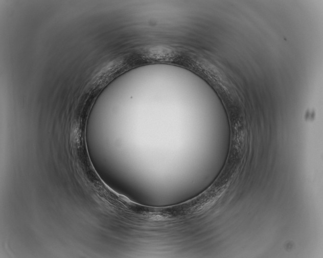 X0000097590597200803141856