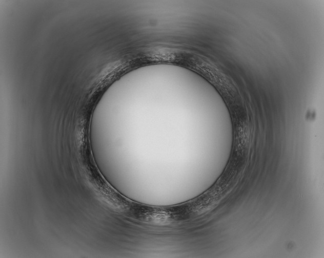 X0000097590600200803141856