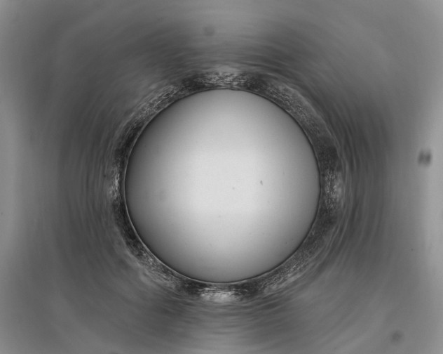 X0000097590602200803141856