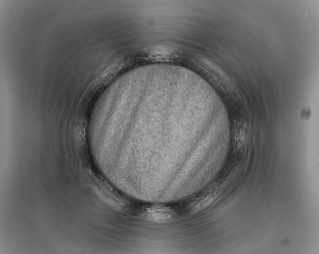 X0000097590603200803141856