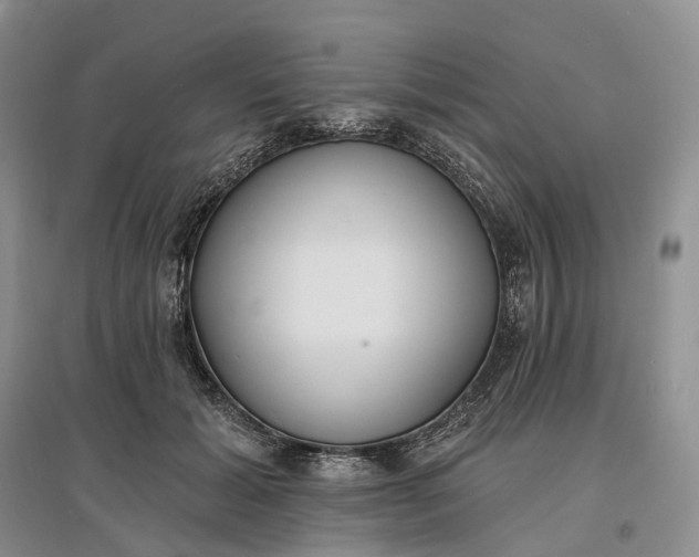 X0000097590605200803141856