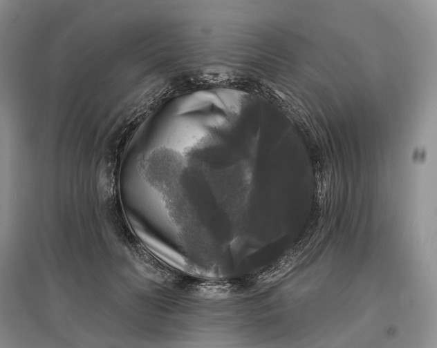 X0000097590606200803141856