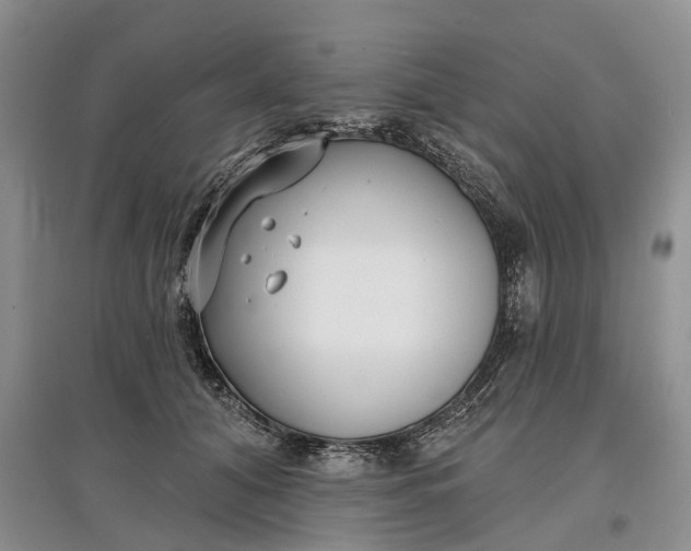 X0000097590608200803141856