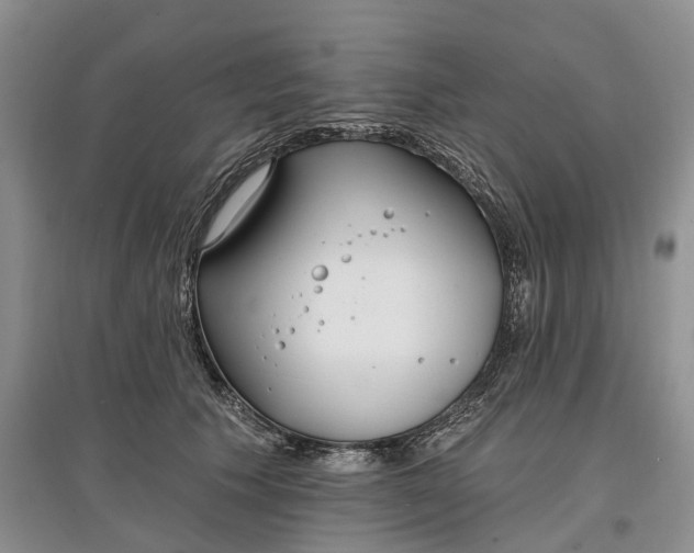 X0000097590609200803141856