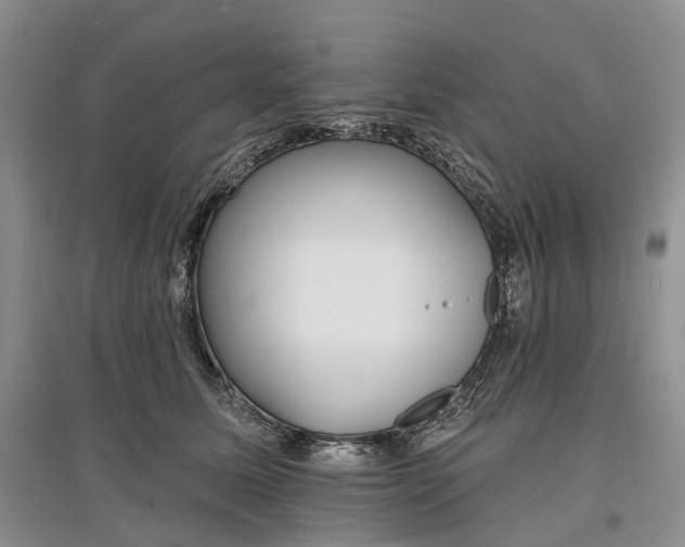 X0000097590611200803141856