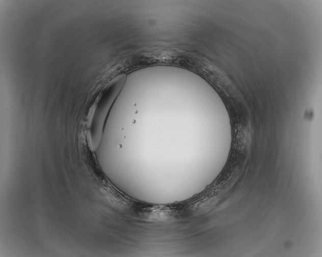 X0000097590612200803141856