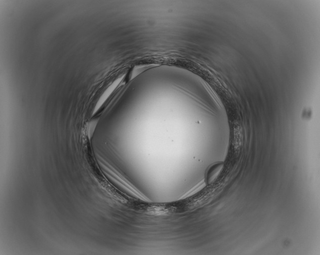 X0000097590613200803141856