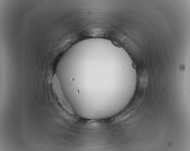 X0000097590620200803141856