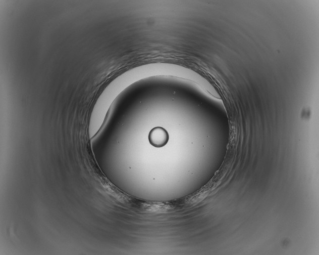 X0000097590621200803141856