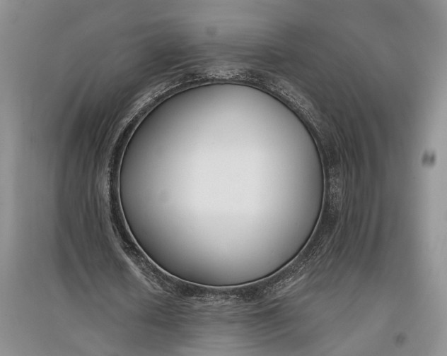 X0000097590626200803141855