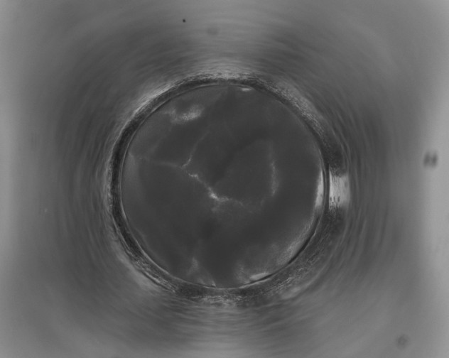 X0000097590627200803141855