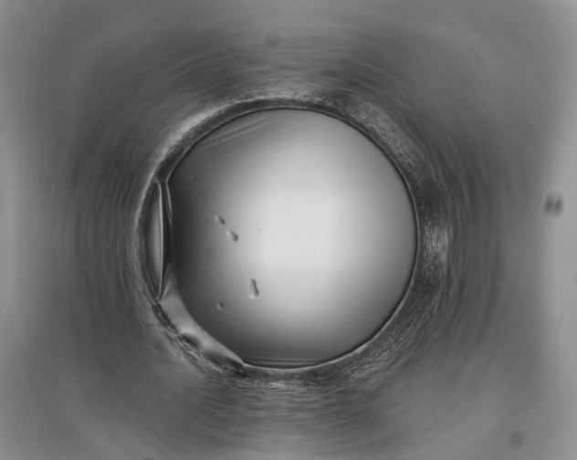 X0000097590628200803141855