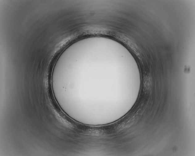 X0000097590629200803141855