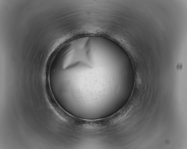 X0000097590630200803141855