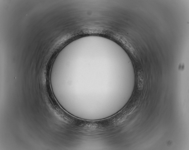 X0000097590631200803141855