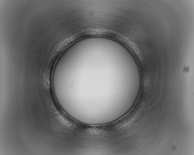 X0000097590633200803141855