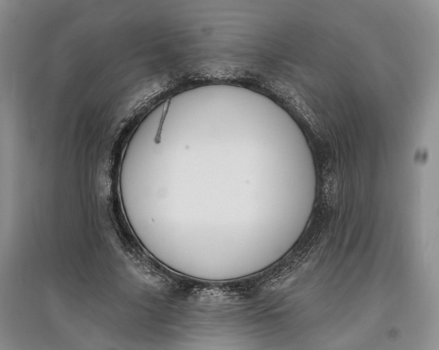 X0000097590635200803141855