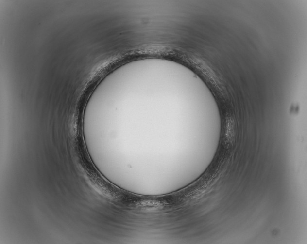 X0000097590636200803141855