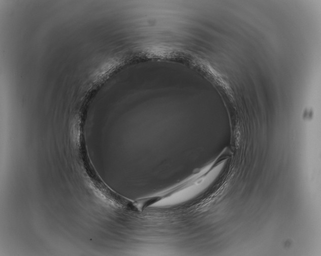 X0000097590637200803141855