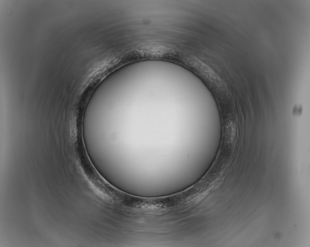 X0000097590638200803141855