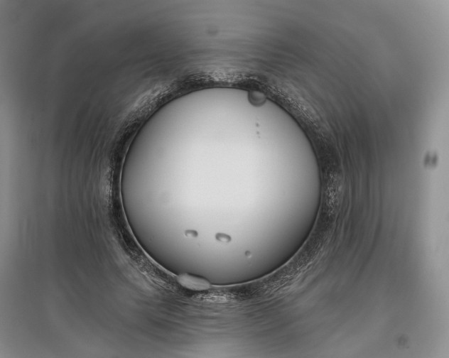 X0000097590639200803141855