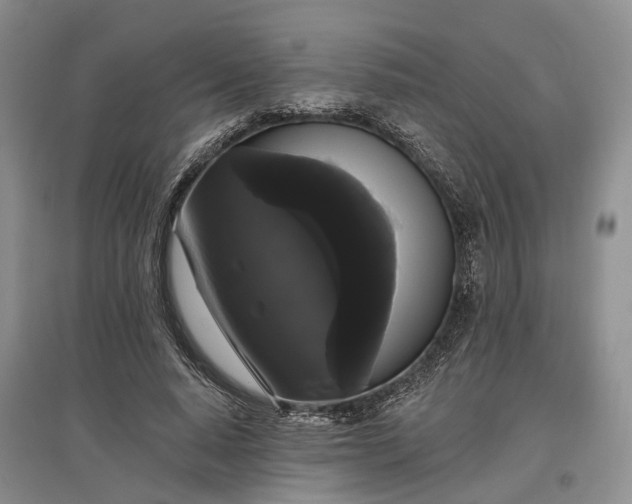 X0000097590640200803141855