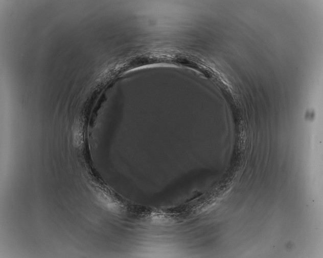 X0000097590641200803141855