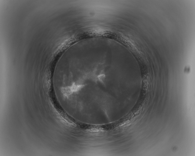 X0000097590642200803141855