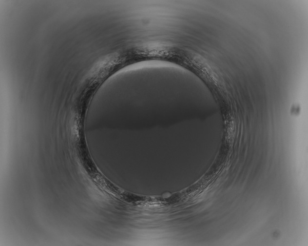 X0000097590643200803141855