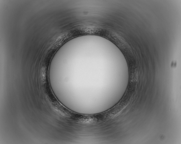 X0000097590646200803141855