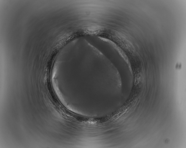 X0000097590647200803141855