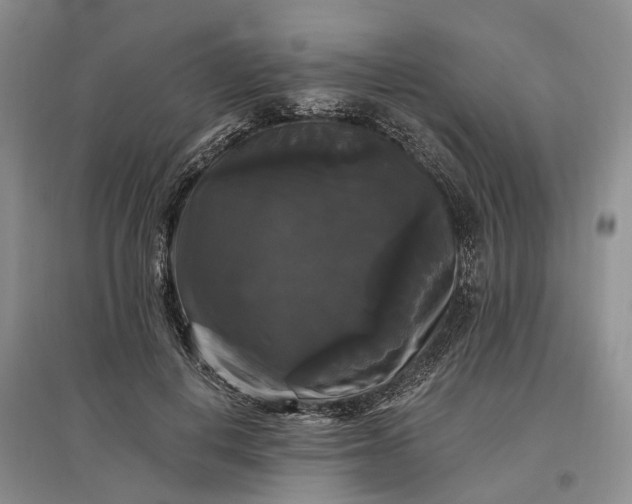 X0000097590648200803141855