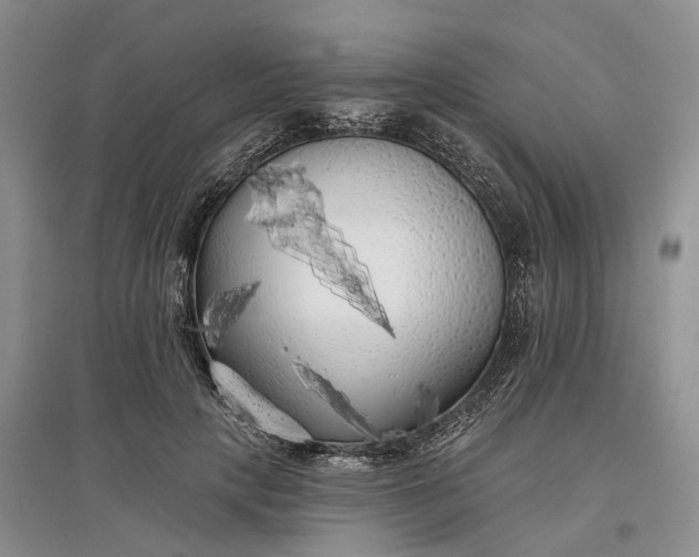 X0000097590649200803141855